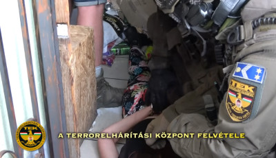 Az apj&aacute;t &eacute;s a nagymam&aacute;j&aacute;t is megk&eacute;selte a 19 &eacute;ves mosonmagyar&oacute;v&aacute;ri nő - VIDE&Oacute;