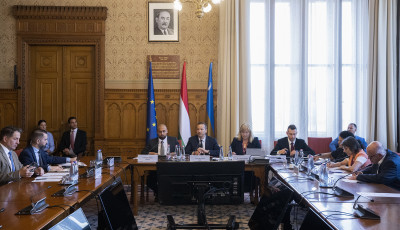 Orb&aacute;nt, Gyurcs&aacute;nyt &eacute;s Rog&aacute;nt beid&eacute;zn&eacute;k a v&eacute;grehajt&oacute;i maffia &uuml;gyeit vizsg&aacute;l&oacute; bizotts&aacute;g el&eacute;