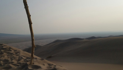 L&eacute;tezik olyan internetes k&ouml;z&ouml;ss&eacute;g, ahol botokat fot&oacute;znak az emberek &eacute;s elk&uuml;ldik egym&aacute;snak