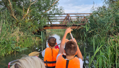 Kenusok borultak fel a Mosoni-Duna duzzaszt&oacute;j&aacute;n&aacute;l