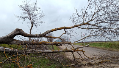 30 vihar okozta k&aacute;rhoz riasztott&aacute;k a tűzolt&oacute;kat