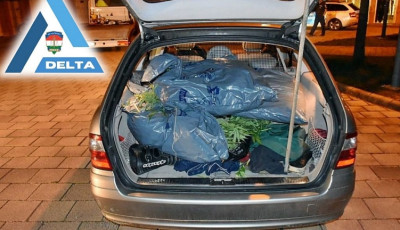 Az&eacute;rt bukott le 14 kil&oacute; cannabissal, mert nem tudott fizetni a benzink&uacute;ton