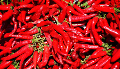 A magyar paprika k&uuml;zdelme a k&iacute;nai importtal