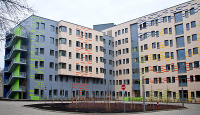 H&aacute;rom embert akart meg&ouml;lni t&eacute;veszm&eacute;i miatt, a győri pszichi&aacute;tri&aacute;ra vitt&eacute;k