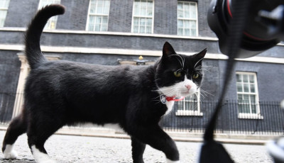 Meghalt Palmerston, a brit k&uuml;l&uuml;gy szmokingos főeger&eacute;sze
