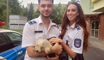 Kiskutya &eacute;let&eacute;t mentett&eacute;k meg a győri rendőr&ouml;k