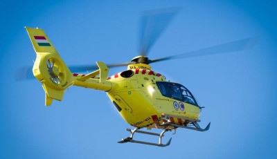 B&oacute;d&eacute; dőlt egy emberre Sopronban, helikopterrel sz&aacute;ll&iacute;tott&aacute;k k&oacute;rh&aacute;zba