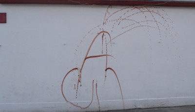 H&aacute;rom &eacute;ven &aacute;t cs&uacute;f&iacute;totta a h&aacute;zat alp&aacute;ri firk&aacute;kkal &ndash; a kamera &eacute;s egy &bdquo;lebuktat&oacute;&rdquo; kark&ouml;tő d&ouml;nt&ouml;tt Győrben