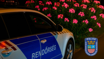 Rendőr&ouml;k elől menek&uuml;lt Sopronban az ittas sofőr, csak egy bokor tudta meg&aacute;ll&iacute;tani