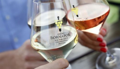 H&aacute;rom nap, 45 pinc&eacute;szet &ndash; Cs&uuml;t&ouml;rt&ouml;k&ouml;n indul a Győri Bornapok