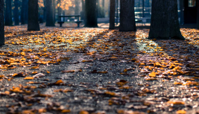 M&aacute;r csak huszonegyet kell aludni a hossz&uacute; h&eacute;tv&eacute;g&eacute;ig