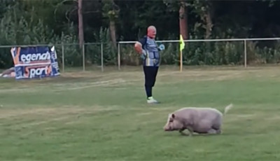 Diszn&oacute; szak&iacute;totta f&eacute;lbe a megye III-as rangad&oacute;t Veszpr&eacute;mben