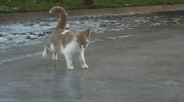 Hogy ne kezdj&uuml;nk el break t&aacute;ncolni a j&aacute;rd&aacute;n, ha az le van fagyva